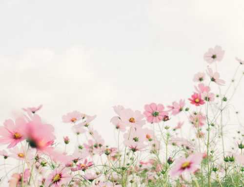 The Compassionate Inquiry® Method