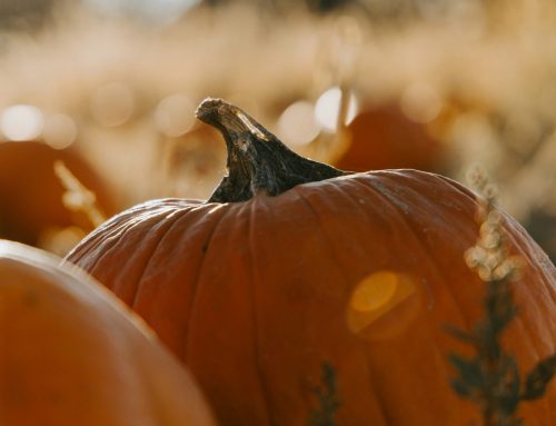 More Than a Scare: The Truth About Phobias