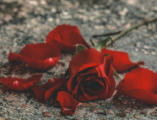 Understanding the Complexity of Relationship Abuse