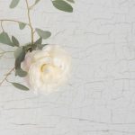 Neurodiversity Affirming Therapy