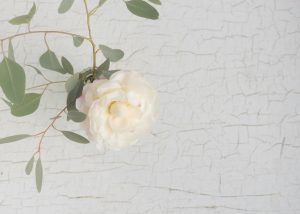 Neurodiversity Affirming Therapy