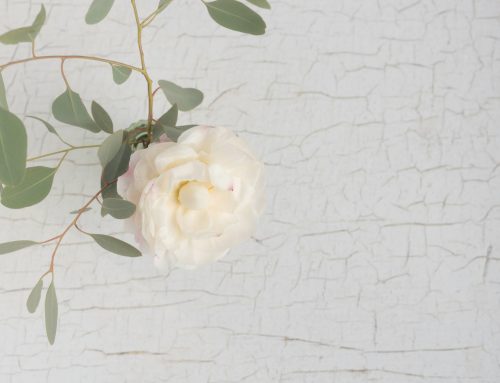 Neurodiversity-Affirming Therapy